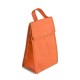 Bolsa Térmica em Tnt 80G/M² (28X17) com Logotipo