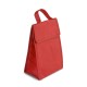 Bolsa Térmica em Tnt 80G/M² (28X17) com Logotipo