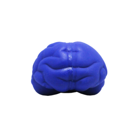 Cérebro Anti Stress Vinil oca Personalizado