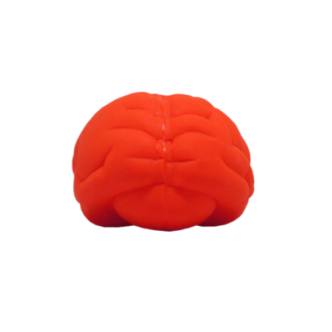 Cérebro Anti Stress Vinil oca Personalizado
