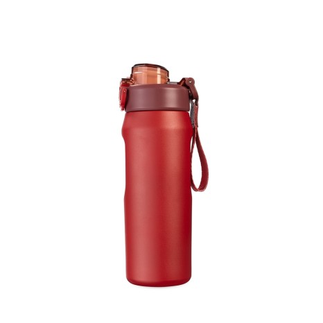 GARRAFA TÉRMICA 550ML para empresas