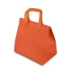 SACOLA TNT TÉRMICA 15L Brindes