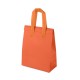 SACOLA TNT TÉRMICA 10L Brinde