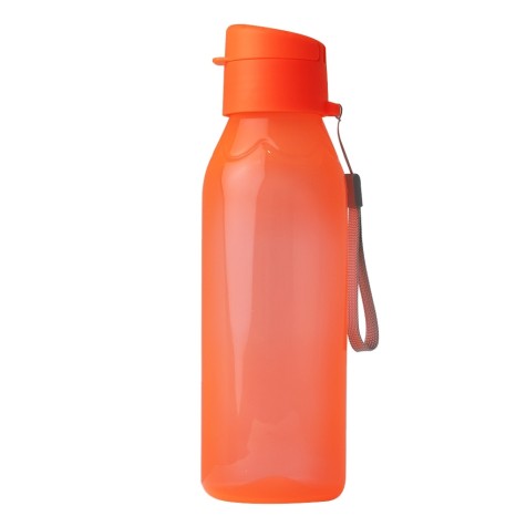 Squeeze Plástica 700Ml para Brinde